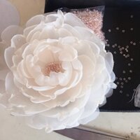 Hoa Peony ánh Sao