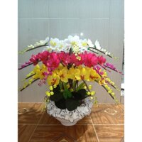 Hoa pha lê: Combo nguyên liệu làm bình lan hồ điệp 24 cành x 5 bông không kèm bình