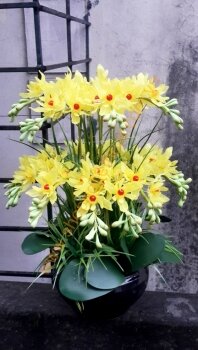 Hoa Pha Lê - Hoa Lan vàng chấm đỏ 2 tầng - Mã: HPL 214