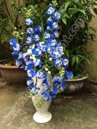 Hoa Pha Lê - Lan Biển Trắng - Mã: HPL 193