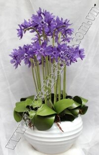 Hoa Pha Lê Nghệ Thuật: Hoa Địa Lan Tím- Mã: HPL 81