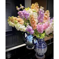 Hoa phi yến ( bó 10 cành ) ship hoả tốc