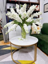 Hoa Phi Yến - bó 10 cây