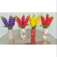 Hoa Phi Yến Và BonSai