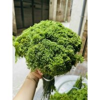 Hoa sâm ngọc linh 1kg