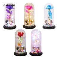 Hoa sang trọng Garende có mái vòm có đèn LED cho vợ kỷ niệm ngày cưới Valentine