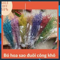 Hoa sao đuôi công khô , trang trí nhà cửa , hoa cắm lọ