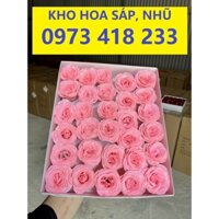 Hoa sáp giá sỉ