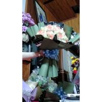 Hoa sáp nhũ  🌹🌹🌹