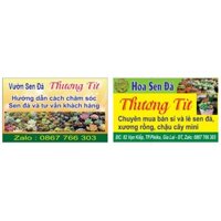 hoa sen đá 20 cây tặng 1 cây 100k . 84 cây 300k