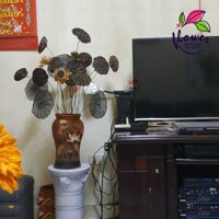 Hoa sen khô cắm bình trang trí