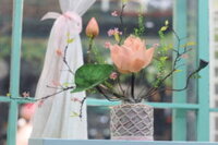 HOA SEN KHÔ “ MONG MANH”