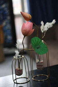 Hoa sen khô -Nụ hôn đầu