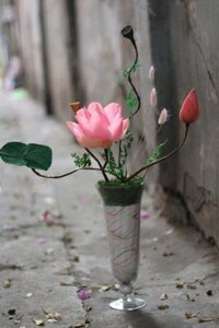 Hoa sen khô – Tác phẩm ” Dáng mềm “