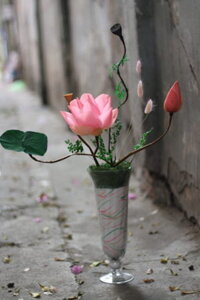 Hoa sen khô – Tác phẩm ” Dáng mềm “