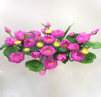 HOA SEN TRANG TRÍ BỤC TƯỢNG BÁC HỒ