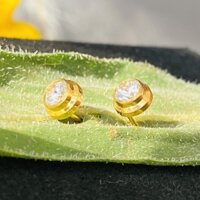 Hoa tai nữ titan, khuyên tai nữ đi chơi sang chảnh