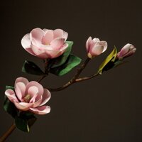 hoa thiết mộc lan