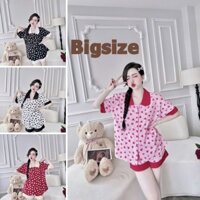HỎA TỐC [Bigsize 50-100kg] Đồ Bộ Đùi Nữ Bigsize Chất Lụa Nhật Họa Tiết Trái Tim Xinh Cho Nàng Múp