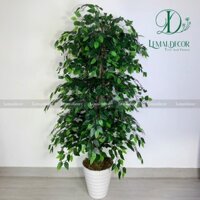 (HỎA TỐC) Cây lá si giả trang trí decor phòng khách, phòng ngủ, nội thất, quán cafe (KÈM CHẬU NHỰA)