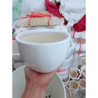 (Hỏa Tốc) Cây Thằn Lằn Thái Kèm Chậu Sứ