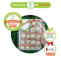 [HỎA TỐC] Cồi Sò Điệp Nhật VITOT Cồi Ngon Ngọt