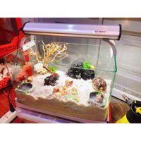 [HOẢ TỐC ]- COMBO NUÔI ỐC MƯỢN HỒN HỒ KÍNH ĐÚC CAO CẤP FULL PHỤ KIỆN