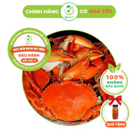 [HỎA TỐC] Cua Cà Mau Năm Căn VITOT Thịt Chắc Gạch Thơm Bảo Hành 1 Đổi 1