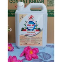 [Hỏa tốc] Dung dịch cồn sát khuẩn nhanh 90 độ 5 lít Nước Hoa, chanh sả, hoa hồng, lavender, tự nhiên