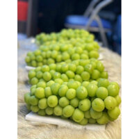 (HỎA TỐC HÀ NỘI) - 0.5kg NHO MẪU ĐƠN SHINE MUSCAT VIP - Siêu Ngon Ngọt Thơm