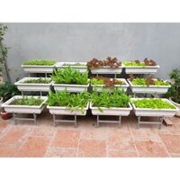(Hỏa tốc Hà Nội) Kệ trồng rau bậc thang cỡ đại cho chậu 67x42cm bằng inox hoặc sắt (chưa bao gồm chậu)