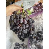 (Hỏa tốc HCM) 1kg Nho đen Mỹ siêu giòn ngọt lịm