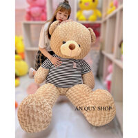 [Hoả tốc HCM 2h] Gấu bông teddy áo AN QUÝ SHOP mềm mịn siêu dễ thương size khổ vải 80, 100, 120cm