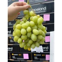 (Hỏa tốc HCM) 500gr Nho Xanh Không Hạt Úc Tươi Cứng Giòn Ngọt