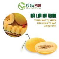 [HOẢ TỐC HCM] Dưa Lưới Vàng Ruột Cam - Ngon ngọt , giòn tan