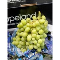 Hoả Tốc HCM_ Nho Úc giòn rụm, ngọt lịm gắt, không chua, không hạt, size to đẹp hàng bay - Hana Farm