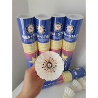 {HOẢ TỐC HCM} Ống Cầu Vina Star tập luyện loại 2 (ống/ 12trái)