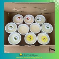 [HỎA TỐC HCM] - SỮA CHUA PHÔ MAI ĐÀ LẠT TRUYỀN THỐNG & MIX VỊ - Set 10 hộp