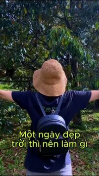 [HOẢ TỐC HCM] VG FARM Sầu Riêng Bảo Lộc Lâm Đồng - Cơm vàng , hạt lép, béo ngậy ngon lắm ạ