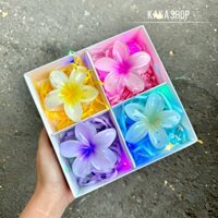 Hoả Tốc Hộp Quà 4 Kẹp Tóc Hoa Sứ Hottrend Hộp Kraft Vuông Cao Cấp Handmade Decor Sinh Nhật Tặng kèm đèn- thiệp