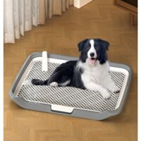 [Hỏa tốc] Khay vệ sinh cho chó size lớn L:65*50cm - Khay hướng dẫn cún đi vệ sinh tiện lợi