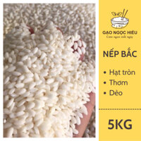 [HOẢ TỐC] Nếp bắc cái hoa vàng (dẻo thơm) - 5KG