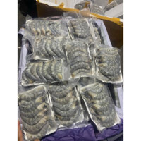 [Hoả Tốc] - NÕN TÔM THẺ SIZE ĐẠI SIÊU TO, TƯƠI NGON (khay 500g)