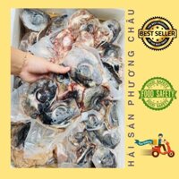 [HỎA TỐC SG] Mắt cá ngừ đại dương nấu lẩu canh chua chưng tiềm bổ dưỡng 1kg