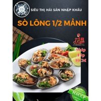 HỎA TỐC - SÒ LÔNG NỬA MẢNH TÚI 1KG