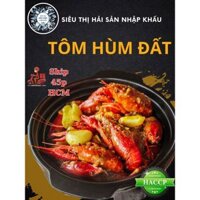 HỎA TỐC - TÔM HÙM ĐẤT NGUYÊN CON