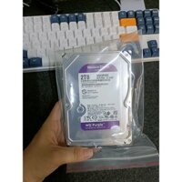 [Hoả Tốc TPHCM] Ổ Cứng 6TB WESTERN PURPLE dành cho camera cao cấp hàng mới
