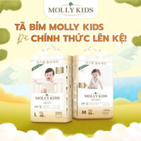 {Hoả tốc tp.HD}{ko quà} Tã Bỉm MOLLY KIDS Dán/Quần Đủ Size NB66/S62/M56/M52/L48/XL44/XXL42/3XL40/4XL38