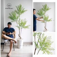 (Hỏa Tốc)Cây giả, Cây Nam Thiên Trúc trang trí nhà cửa