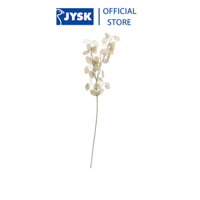 Hoa trang trí  JYSK Gregert  nhựa PP  be  C70cm